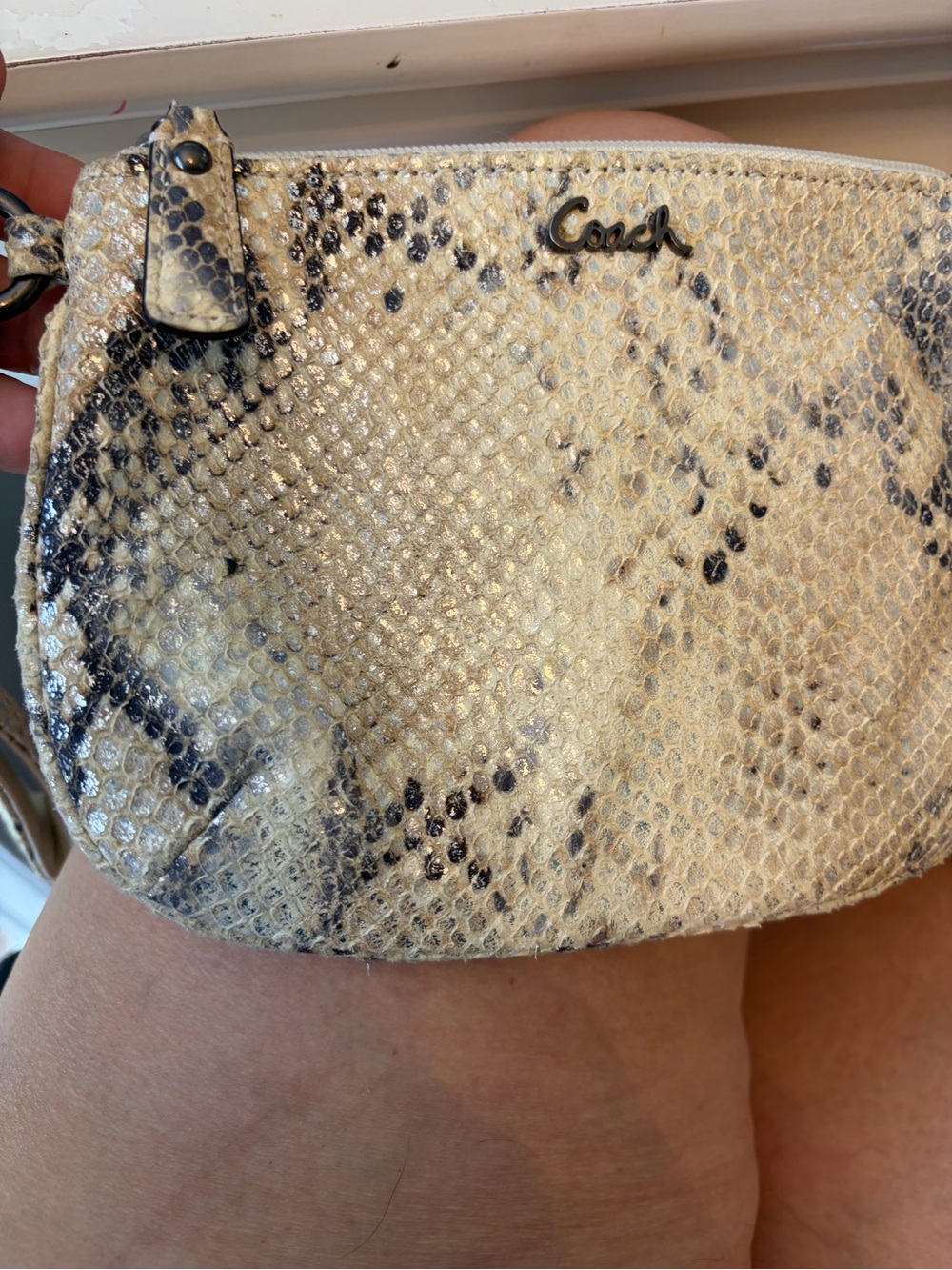 Coach Cream and Black Snake-Print Wristlet